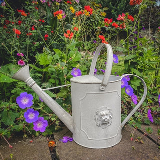 zinc watering can with lion motif design