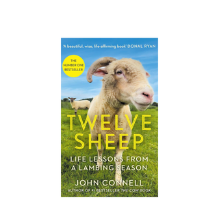 Twelve Sheep: Life lessons from a lambing season by John Connell