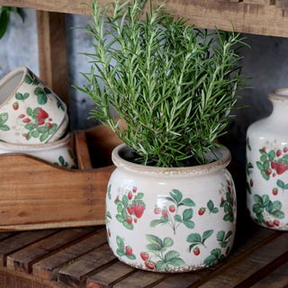 Fraises Planter with Strawberries Motif