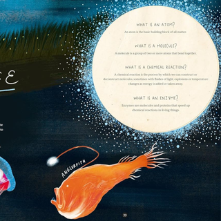 A Wild Child's Guide to Nature at Night by Dara McAnulty