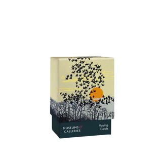 Aerial Manoeuvre Playing Cards