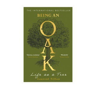 Being an Oak: Life as a tree by Laurent Tillon, Jessica Moore