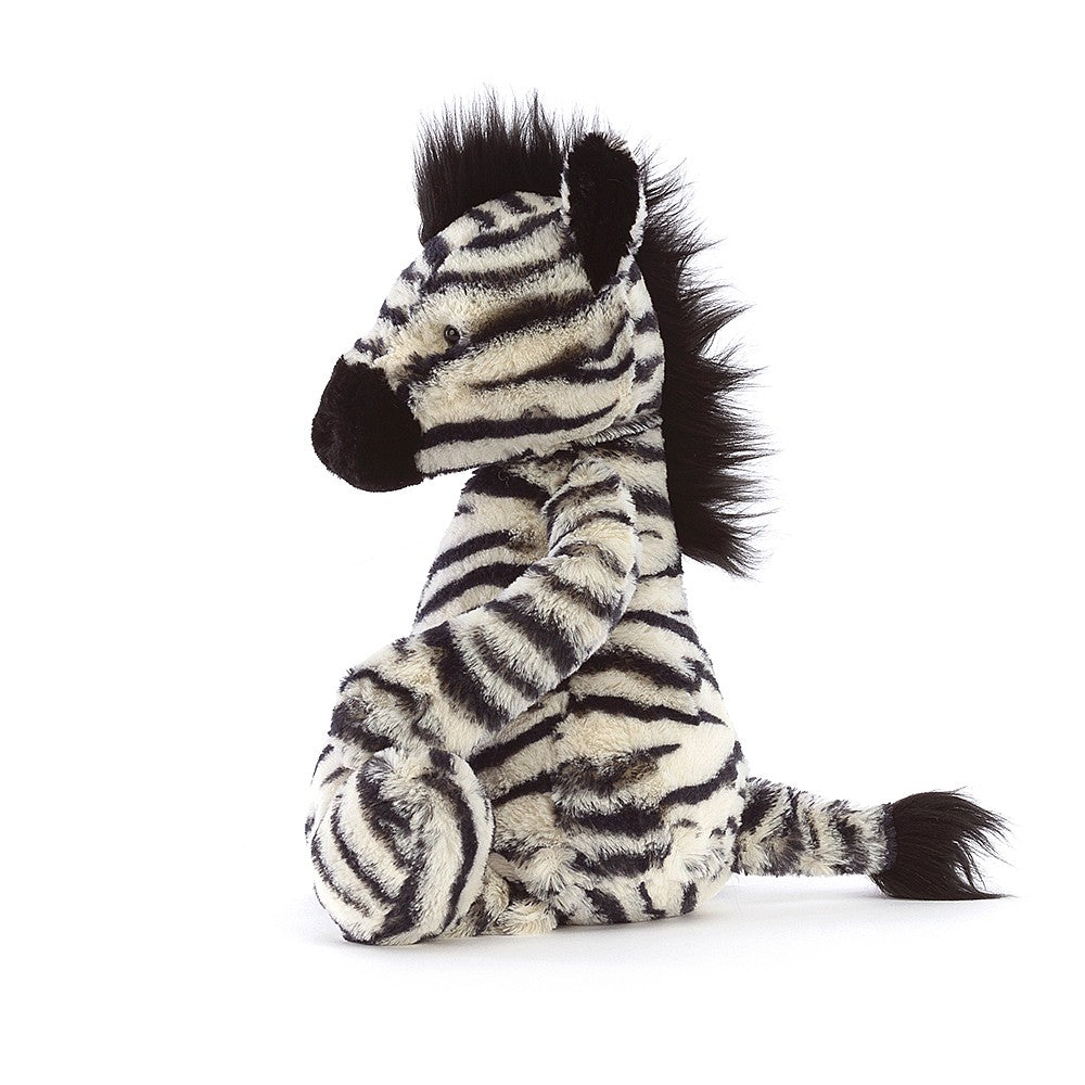 Bashful Zebra