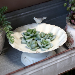 Birdbath On Foot
