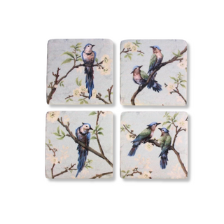 Birds on Branch Coaster 4pk