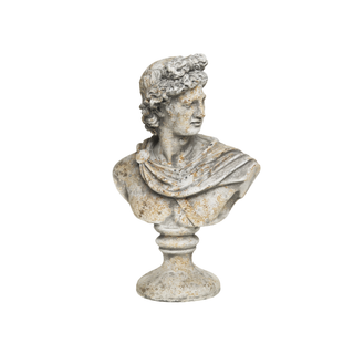 Bust Homme Antique Grey