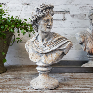 Bust Homme Antique Grey