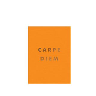 Carpe Diem Inspirational Quotes