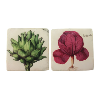 Coaster Vegatables