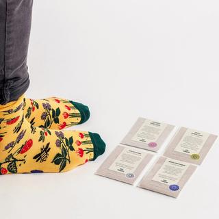 Fat Tomato The Grow Gift Box (Socks UK 3-7)