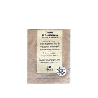 Fat Tomato Tomato Wild Argentinian Seeds
