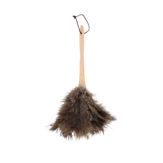 Feather Duster