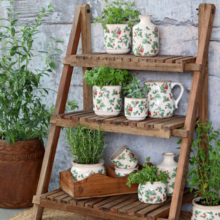 Fraises Planter with Strawberries Motif