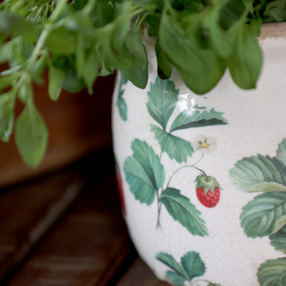 Fraises Planter with Strawberries Motif