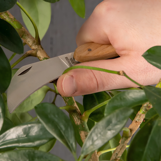 Gardening Pruning Tools Giftset