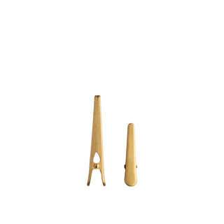 Golden Clip Set of Two