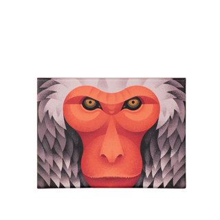Japanese Macaque Puzzle