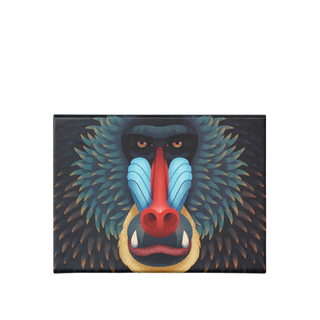 Mandrill Puzzle