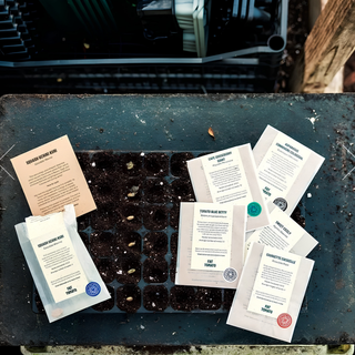Fat Tomato Celery Leaf Red Stemmed Seeds