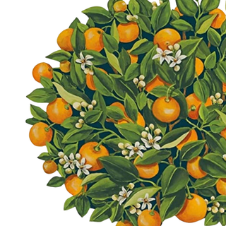 Oranges Placemat