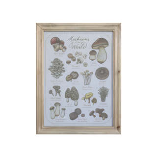 Picture with Mushroom Motif and Nature Frame