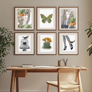 Framed Print Antoinette