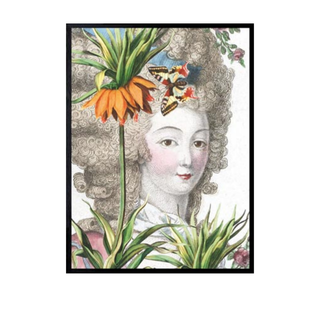 Framed Print Antoinette