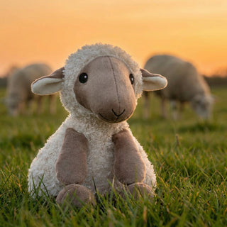 Gosh ! Sheep Softie