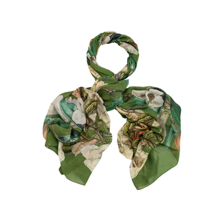 One Hundred Stars Scarf Rhodoleia Green