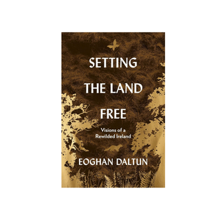 Setting the Land Free by Eoghan Daltun