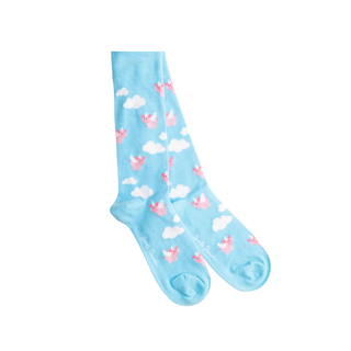 Socks Flying Pig