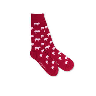 Socks Pig