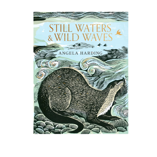 Still Waters & Wild Waves by Angela Harding