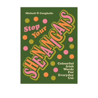 Stop Your Shenanigans by Micheál Ó Conghaile