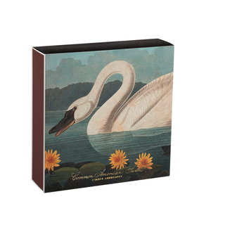 Swan Safety Matches