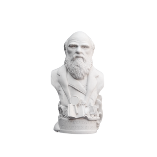 Timothy Richards Charles Darwin Small Bust