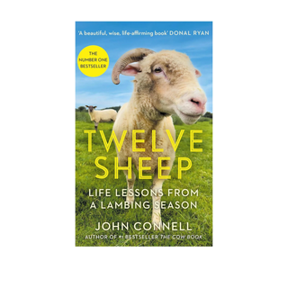 Twelve Sheep: Life lessons from a lambing season by John Connell