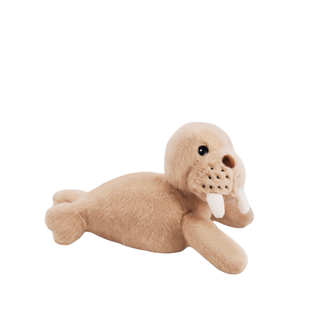 Gosh ! Walrus Softie 20cm