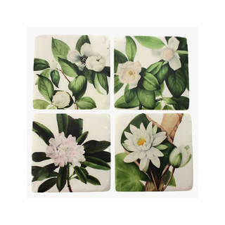 Coasters Water Lilies