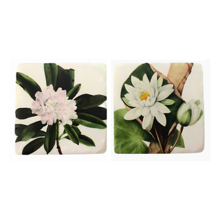 Coasters Water Lilies