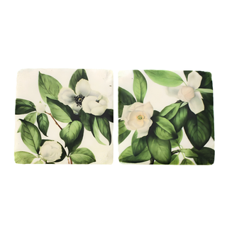 Coasters Water Lilies