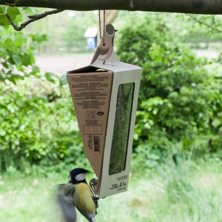 Bird Feeding Wedge with Sunflower Seeds