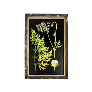 Wooden Frame Flute Herb