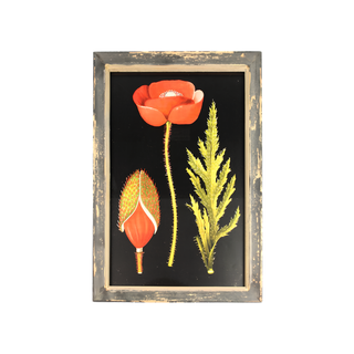 Wooden Frame Poppy