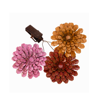 Dahlias with clip