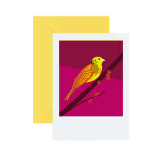 Pawpear Greeting Card Yellowhammer
