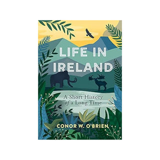 Life in Ireland: A Short History of a Long time | Conor W. O'Brien