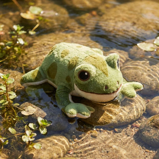 Gosh ! Frog Softie 20cm