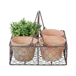 Aged Terracotta Pots in Wire Tray