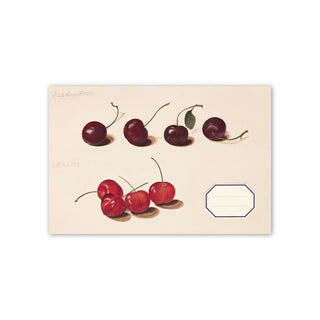 Les Cerises Italian Art Book